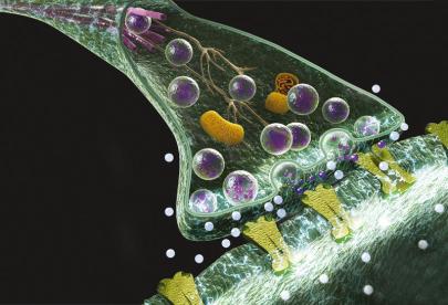 06_anatomia_quo208_ampliacion