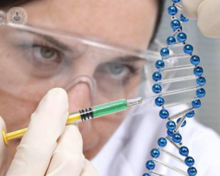 e32e109c8a67593a5551a00d6761d1eb