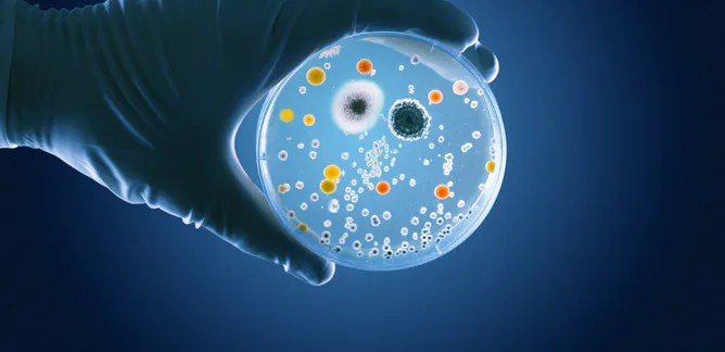 file-20210726-25-1au81j5