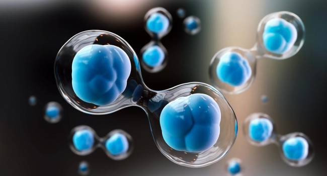 gettyimages-1038779250_617086_20190830133231